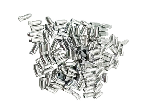 Pin